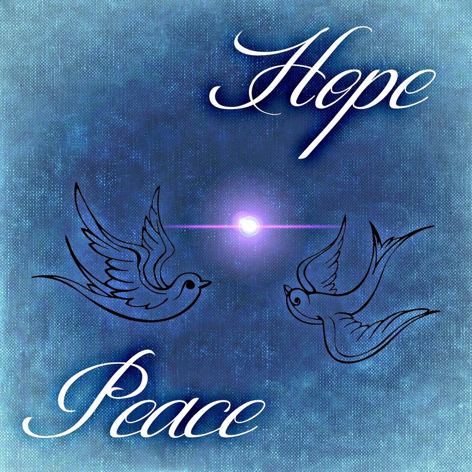 hope peace dove background