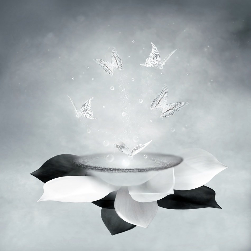 art fantasy background butterflies