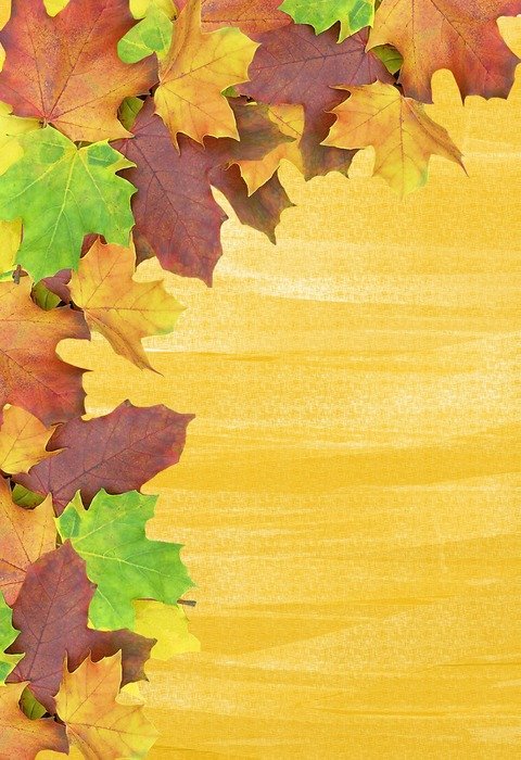 yellow background with autumn leaves