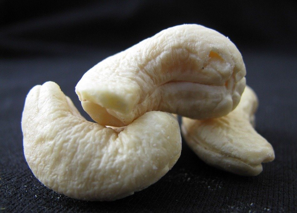 cashew nuts white seeds