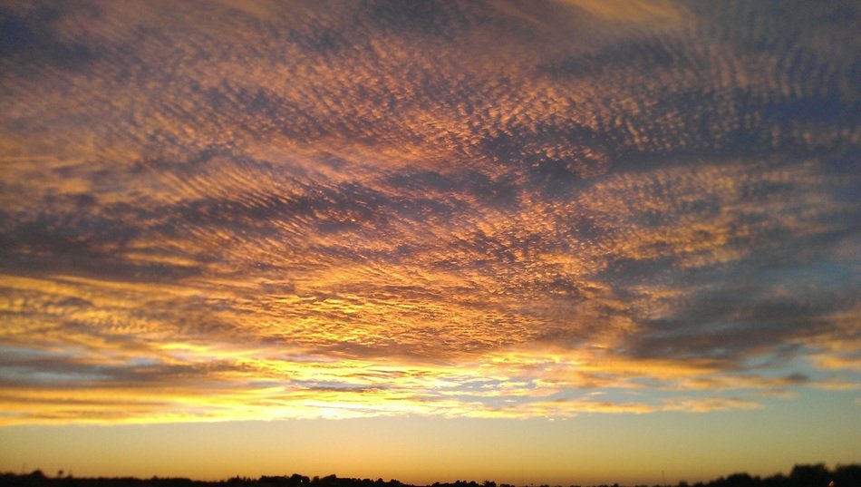 sunset gold color nature