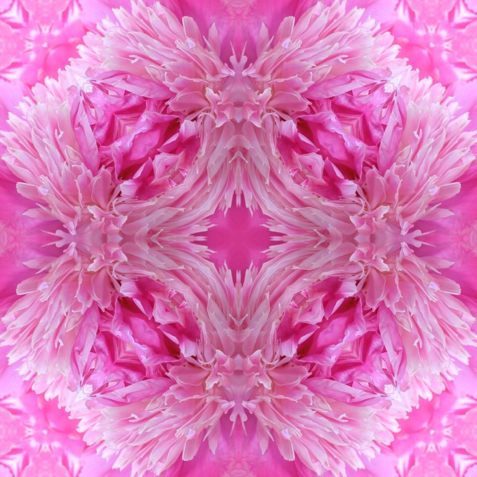 background with floral kaleidoscope pattern