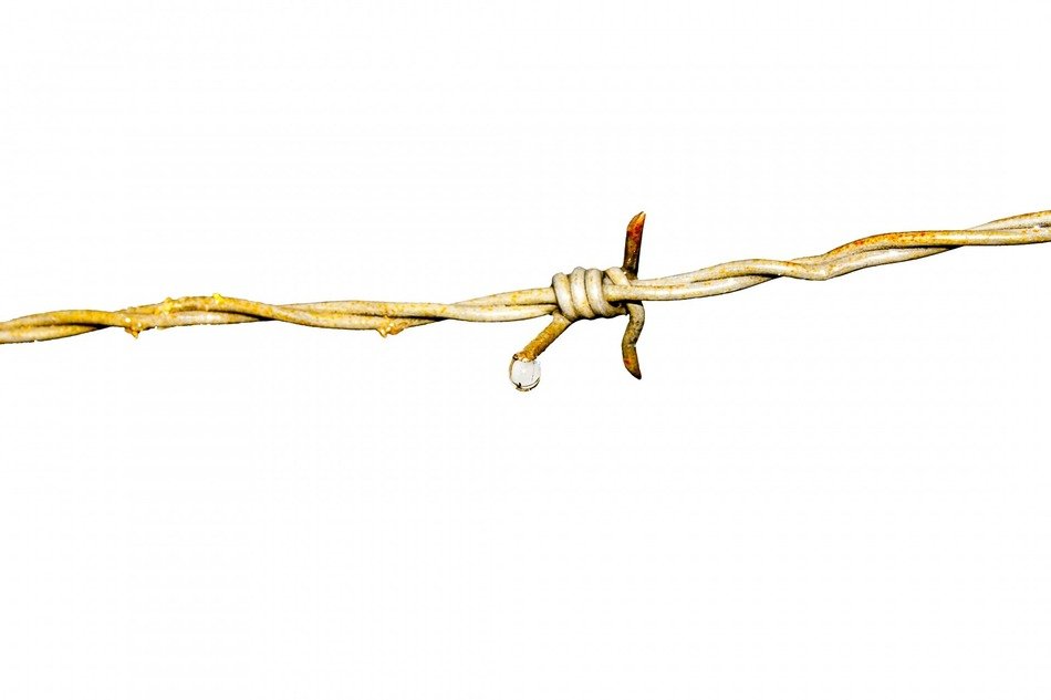 isolated barbed wire