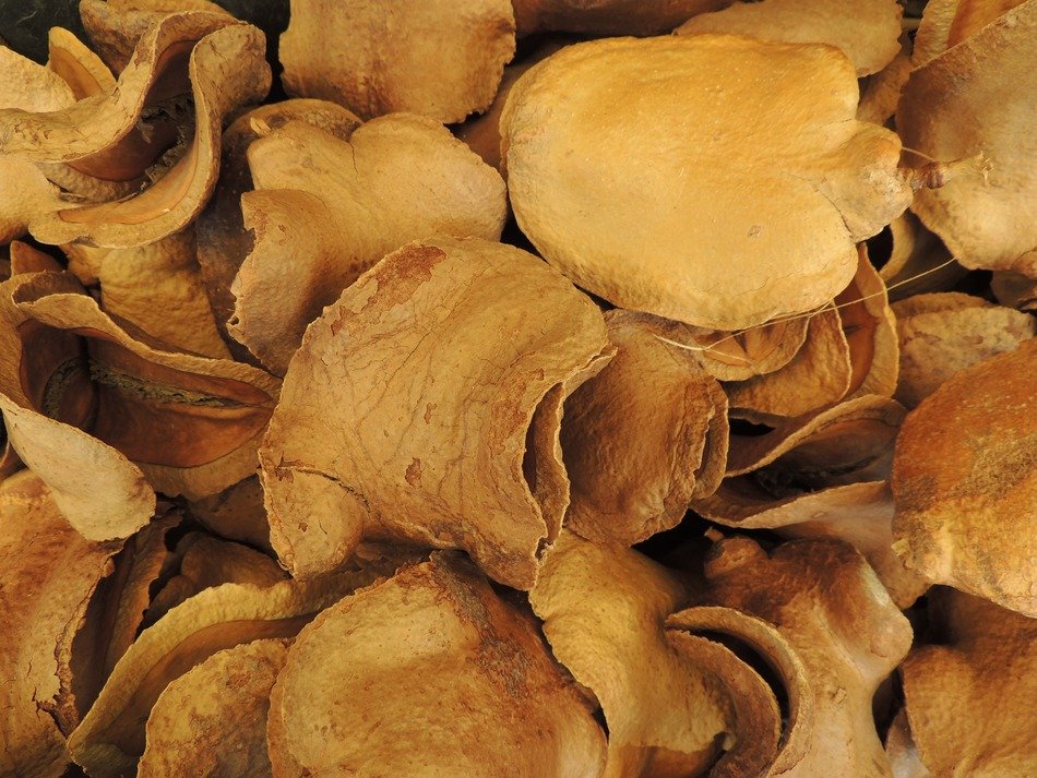 pear bark dried pattern