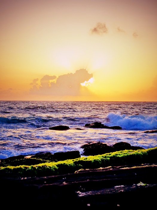 landscape of sunset on the coast