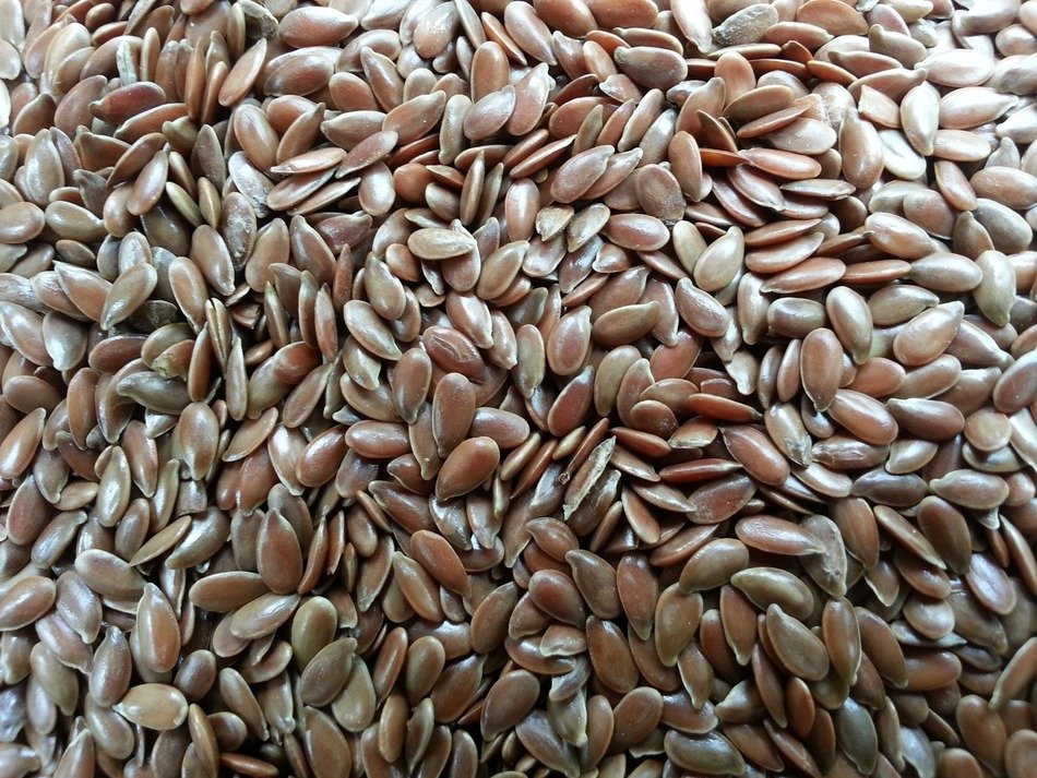 seed omega 3 food healthy organic