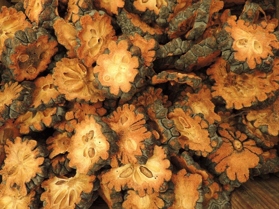 seeds texture pattern open