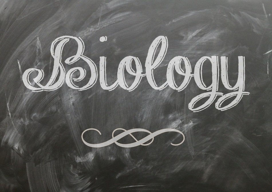 biology poster subject background