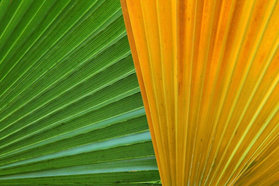 abstract background close up color