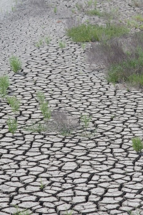 desert cracked dry brown pattern
