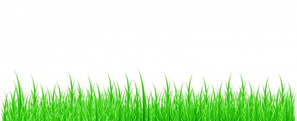 background grass nature gradient