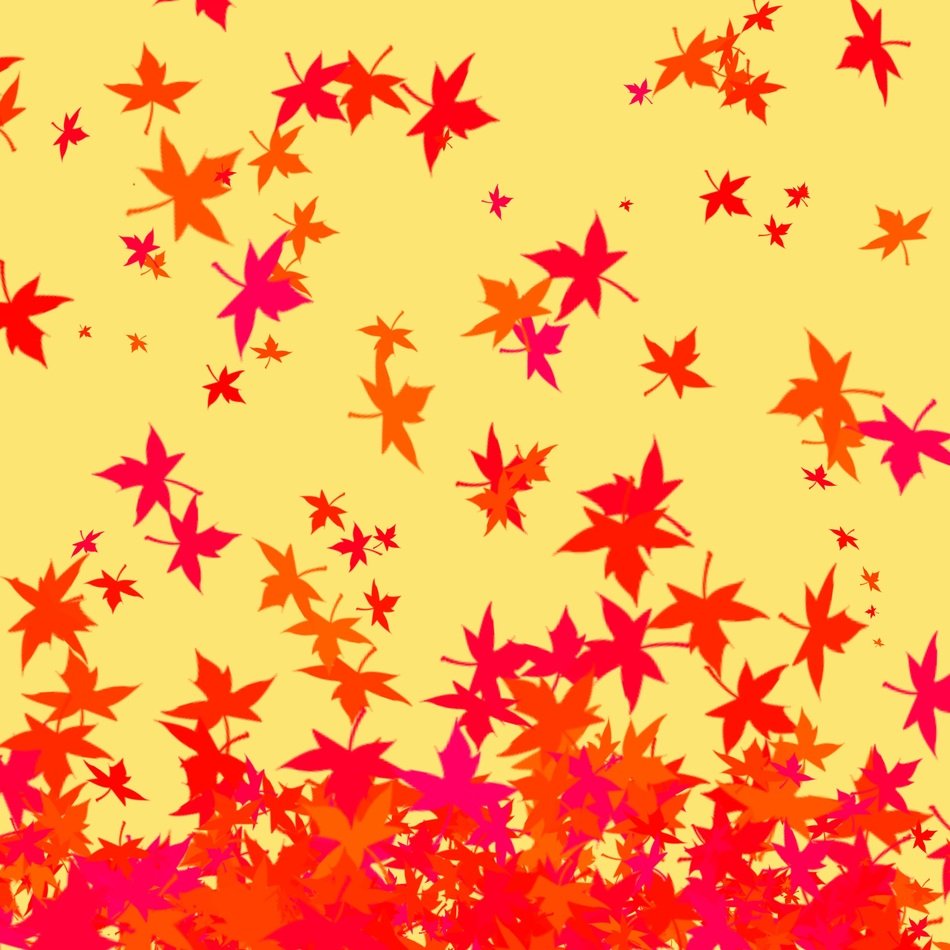 leaves autumn maple drop listopad
