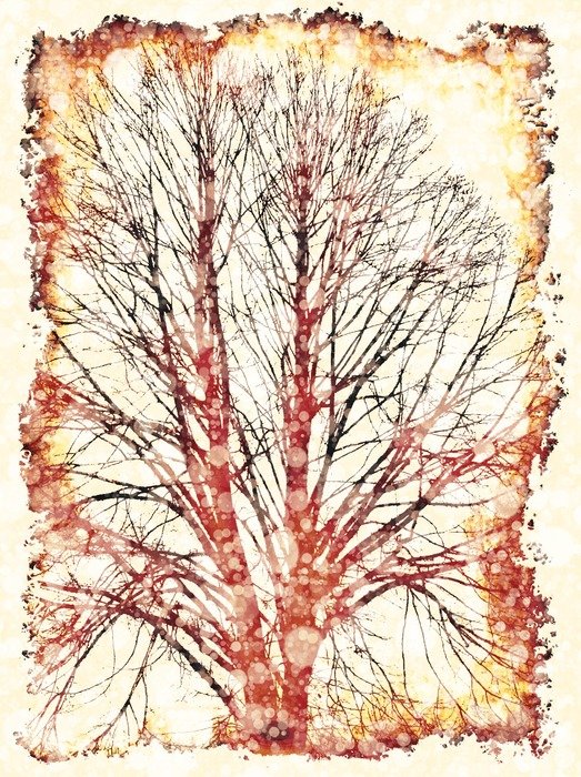 background tree kahl paper edge