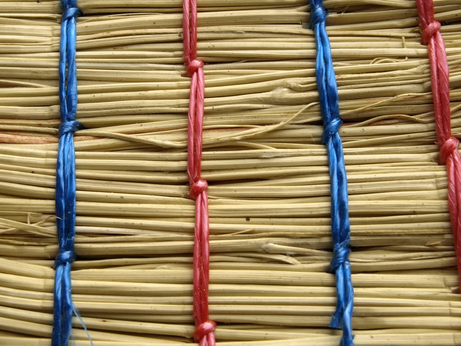 bristles broom
