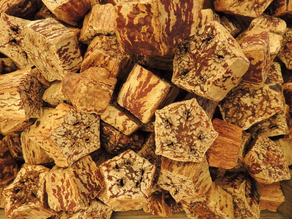 dried bud star nut texture