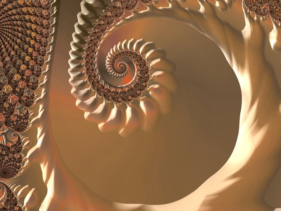 fractal snail pastel strudel