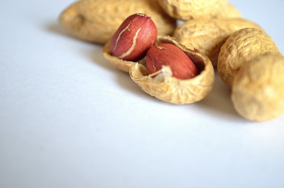food background health vitamins