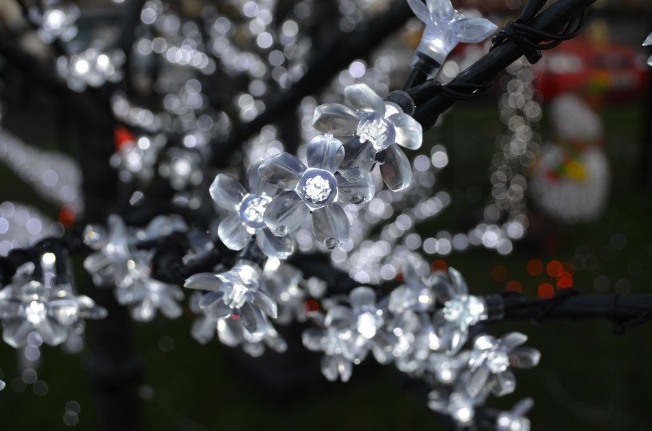 decorations flowers lights white