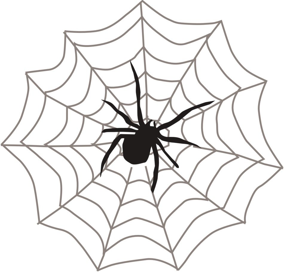 spider web black arachnid