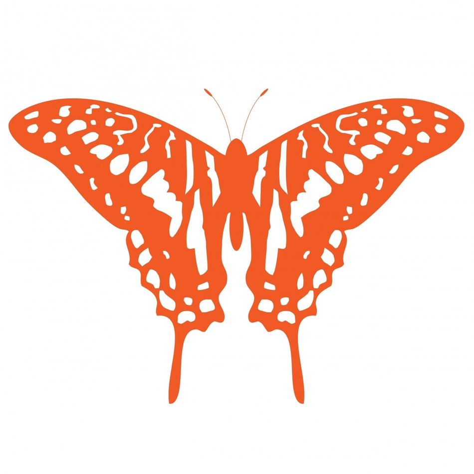 butterfly orange art stylized