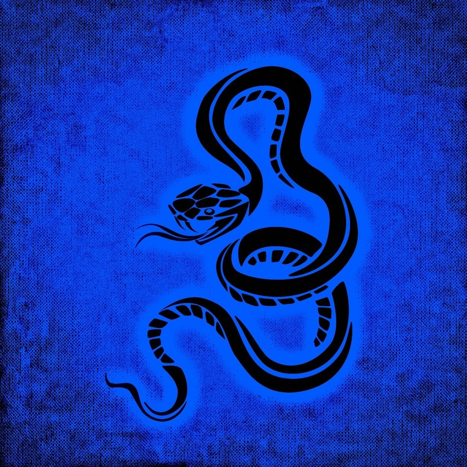 snake dangerous background blue