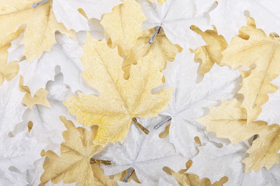 autumn background beautiful bright