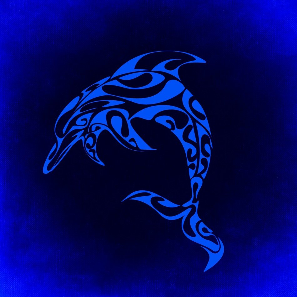 dolphin mystical background blue