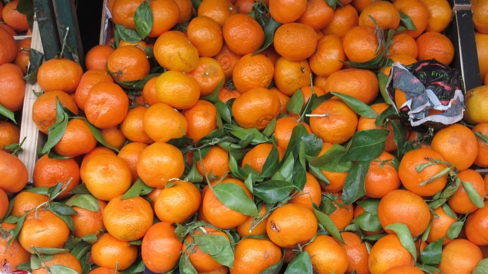 oranges fruits leaves citrus fruit