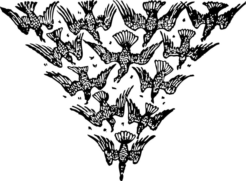 birds flying triangle formation