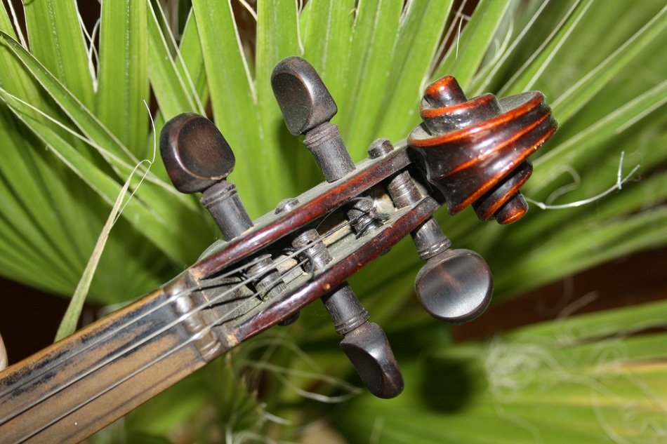 music violin notenblatt sound