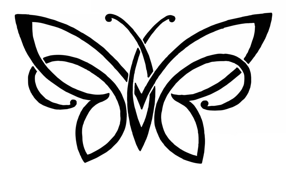butterfly ornament insect design