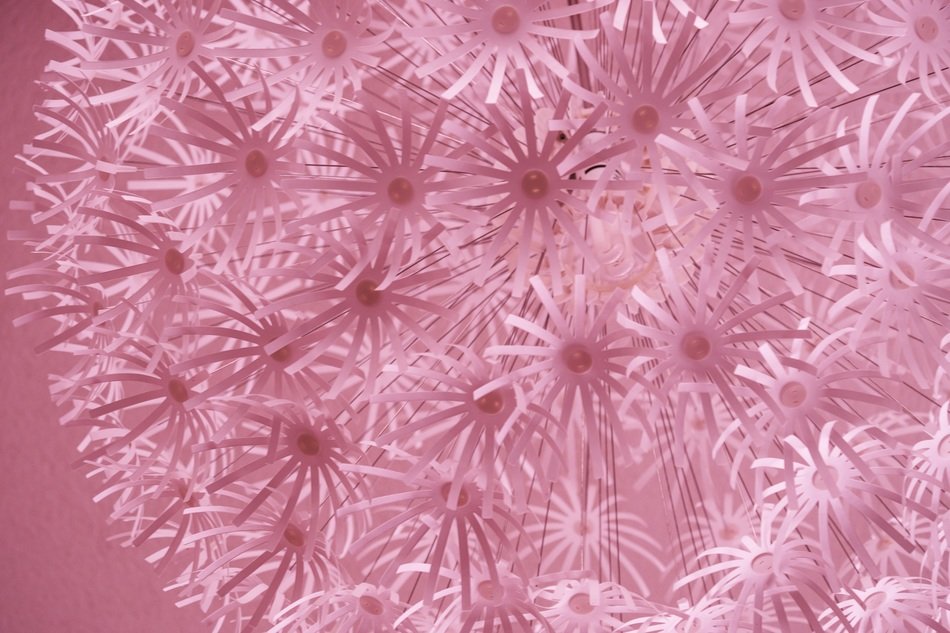 leaves texture structure pattern