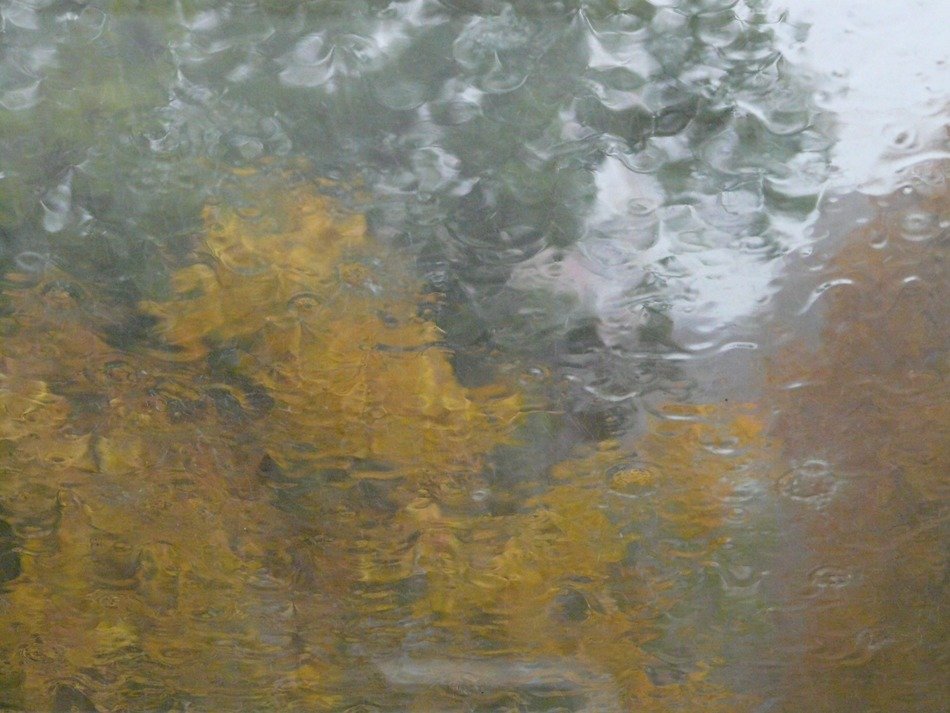 rain disc blurry window glass