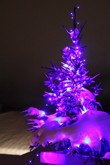 christmas decoration festive glow