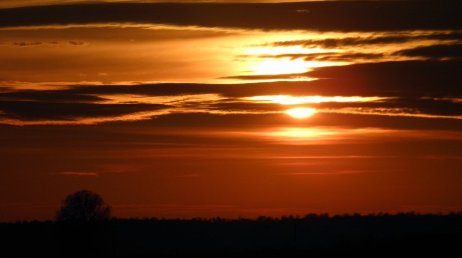 sunset clouds light tree