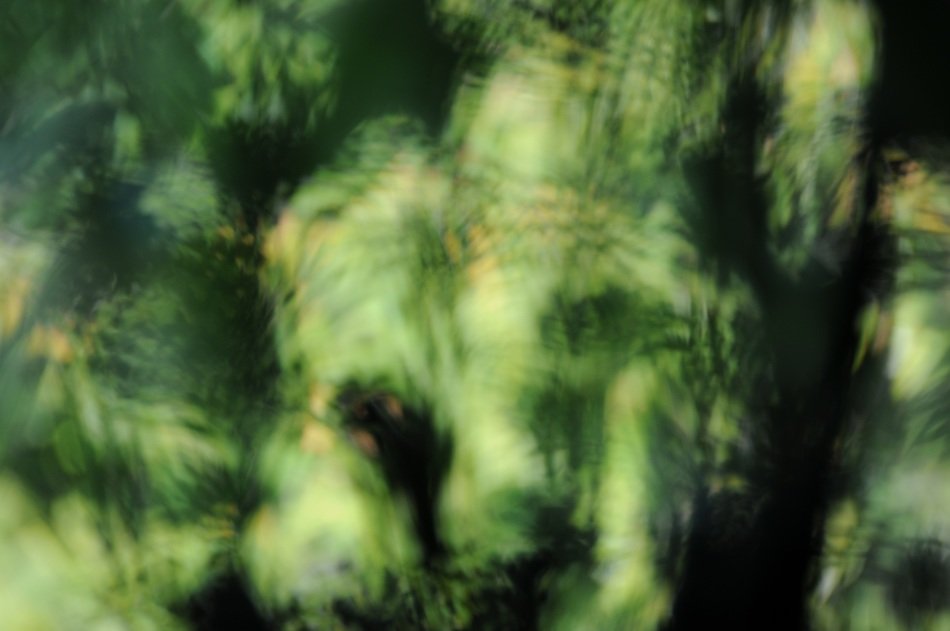 green out of focus structure