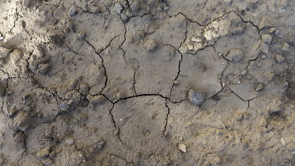 texture background soil ground
