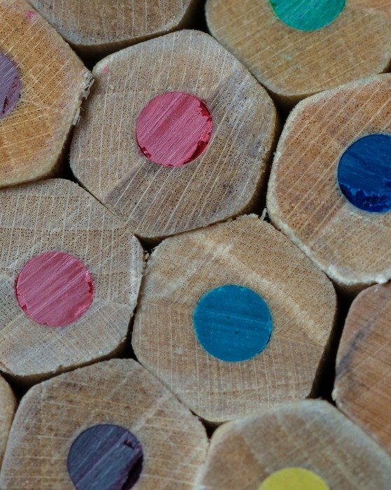 pencils colors lines wood forest