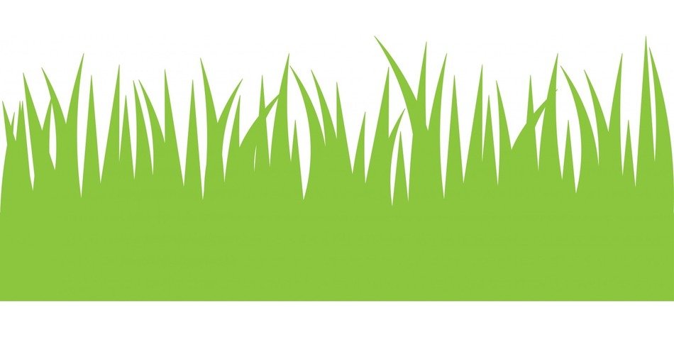 green grass white
