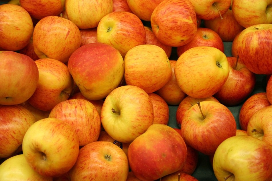 apple fruit market tree red