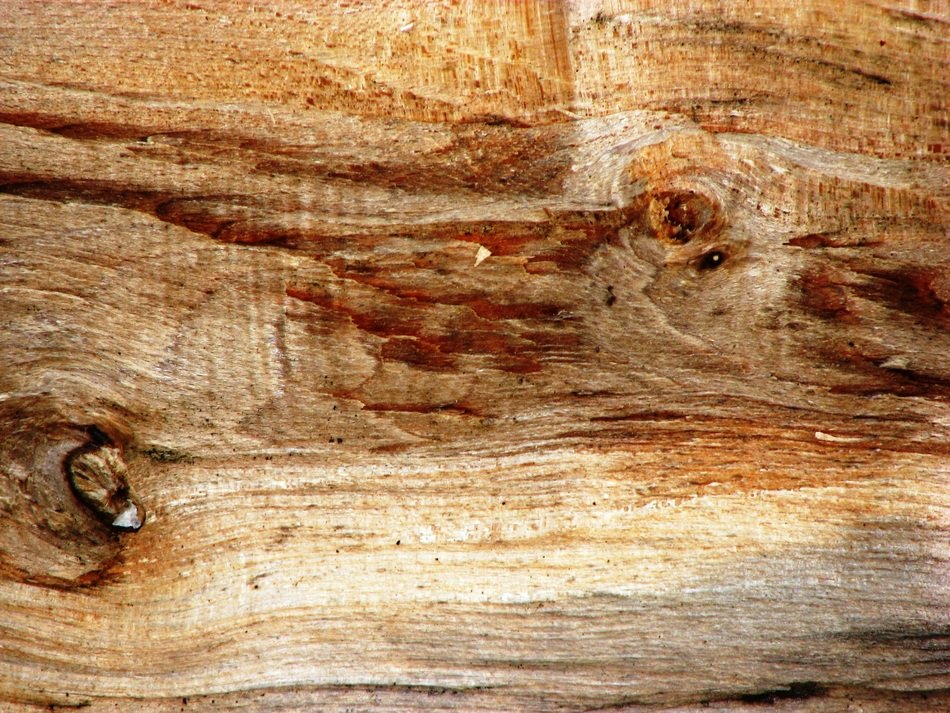 wood texture background