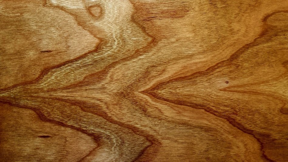 wood texture wooden brown timber