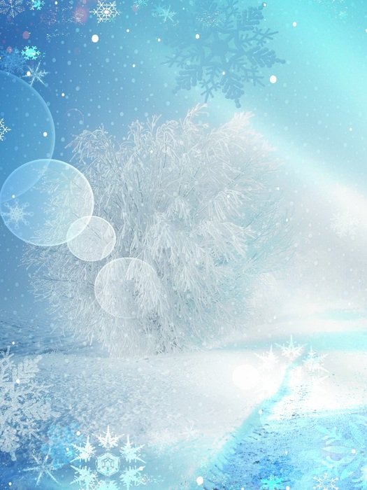 winter magic dream