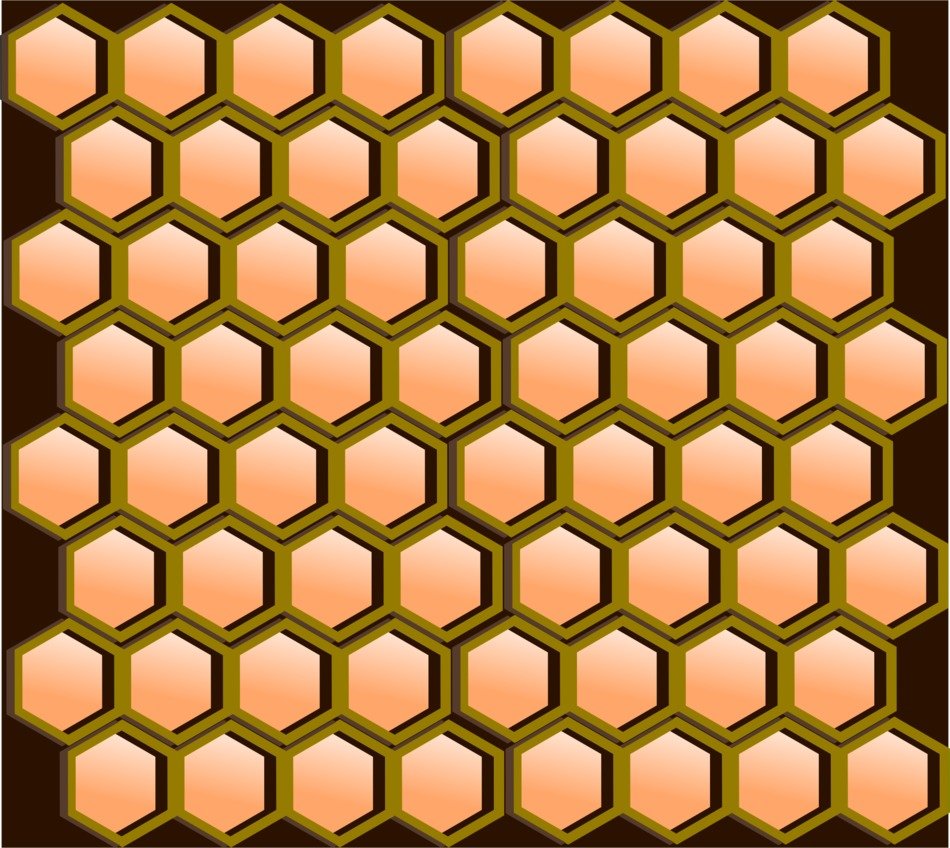 honeycomb comb hexagonal cells