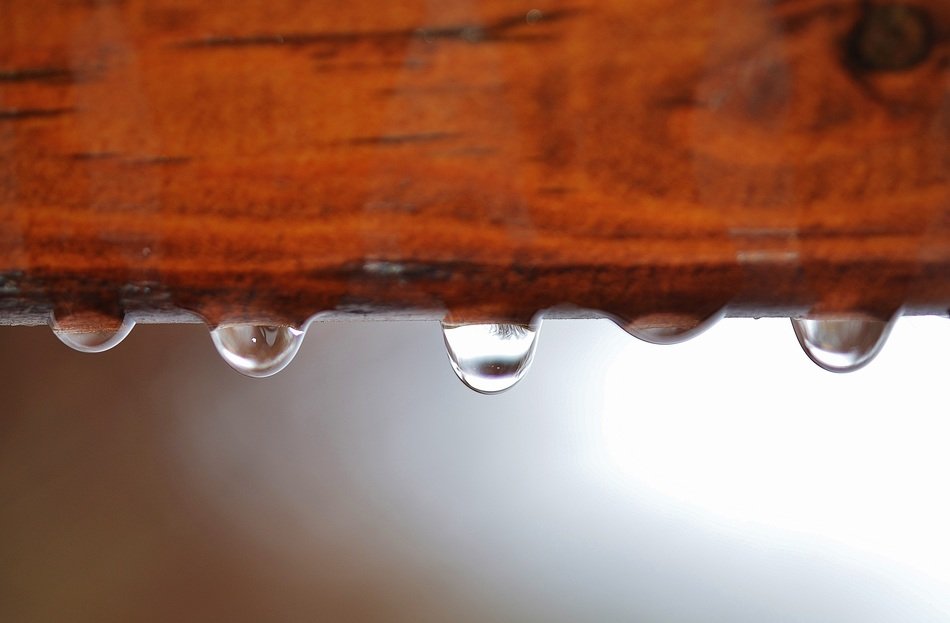 macro background drop water drops