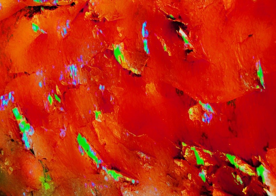 background abstract leaves seasons