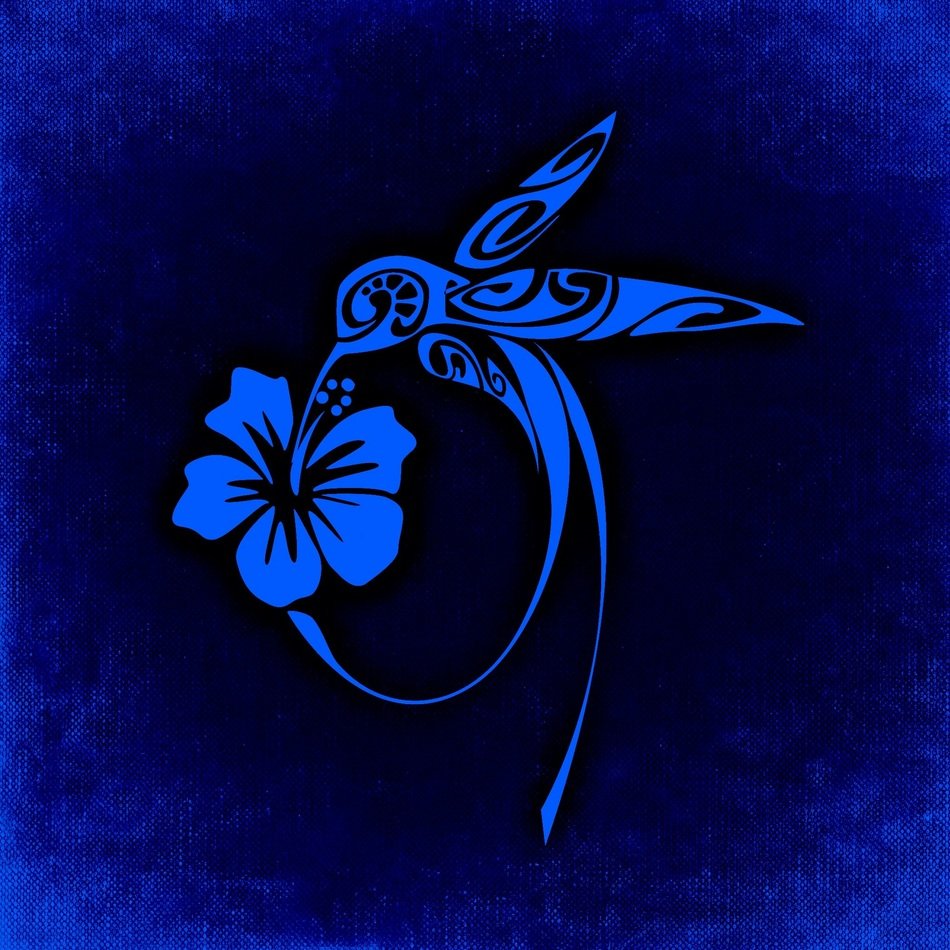 bird flower background blue bright