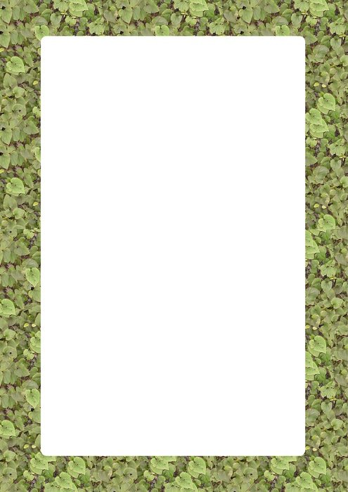 picture frame