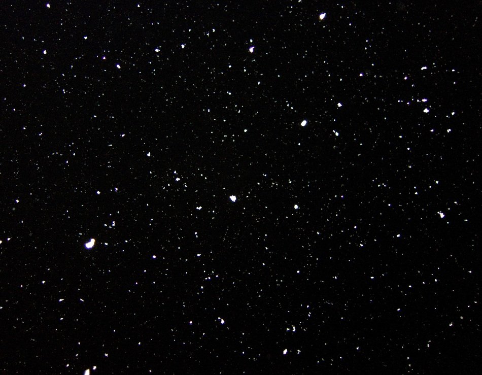 snow dots white texture black