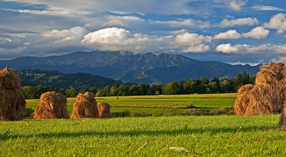 dried grass podhale tatry mountains